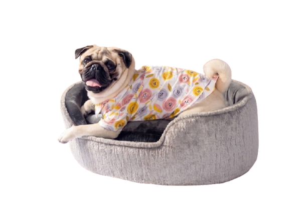 SYRA Acrylic Pet Home