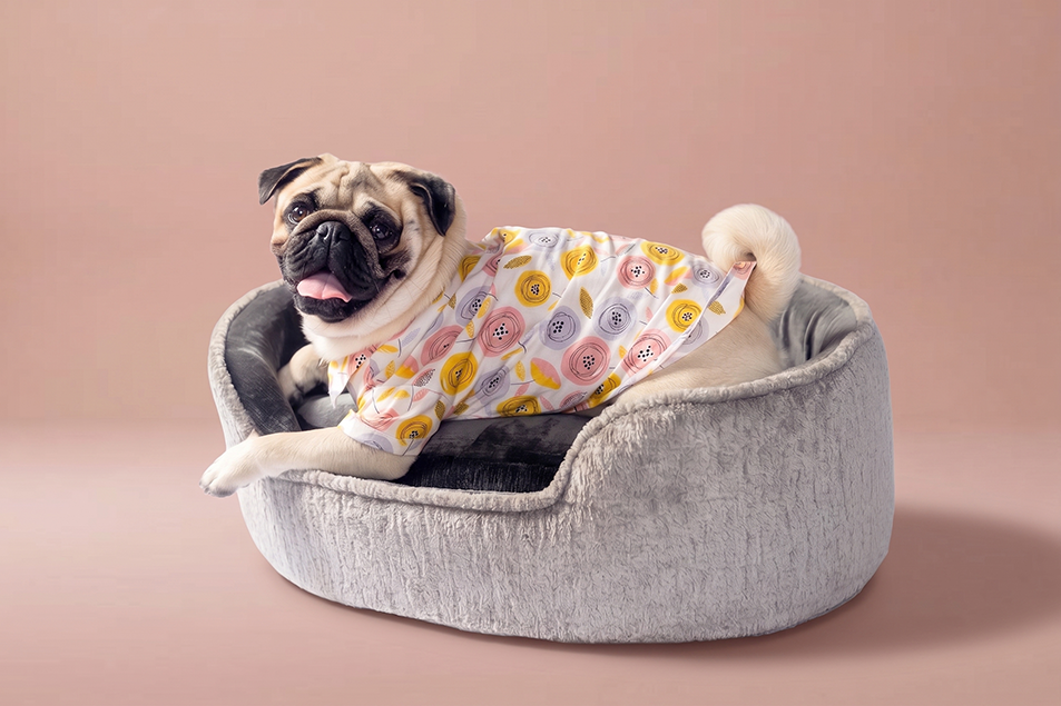 Diwan I.O - Premium Pet Cushion