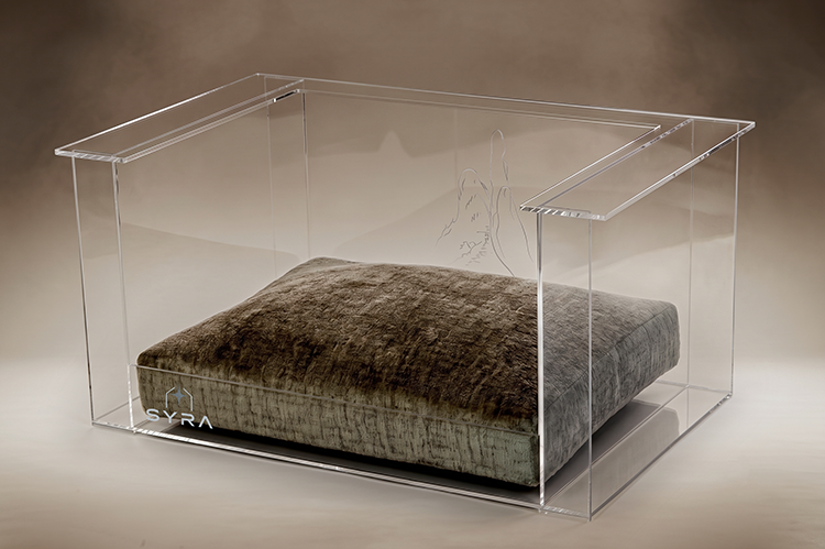 Sella I.O acrylic pet chair